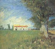 Vincent Van Gogh Farmhous in a Wheat Field (nn04) oil